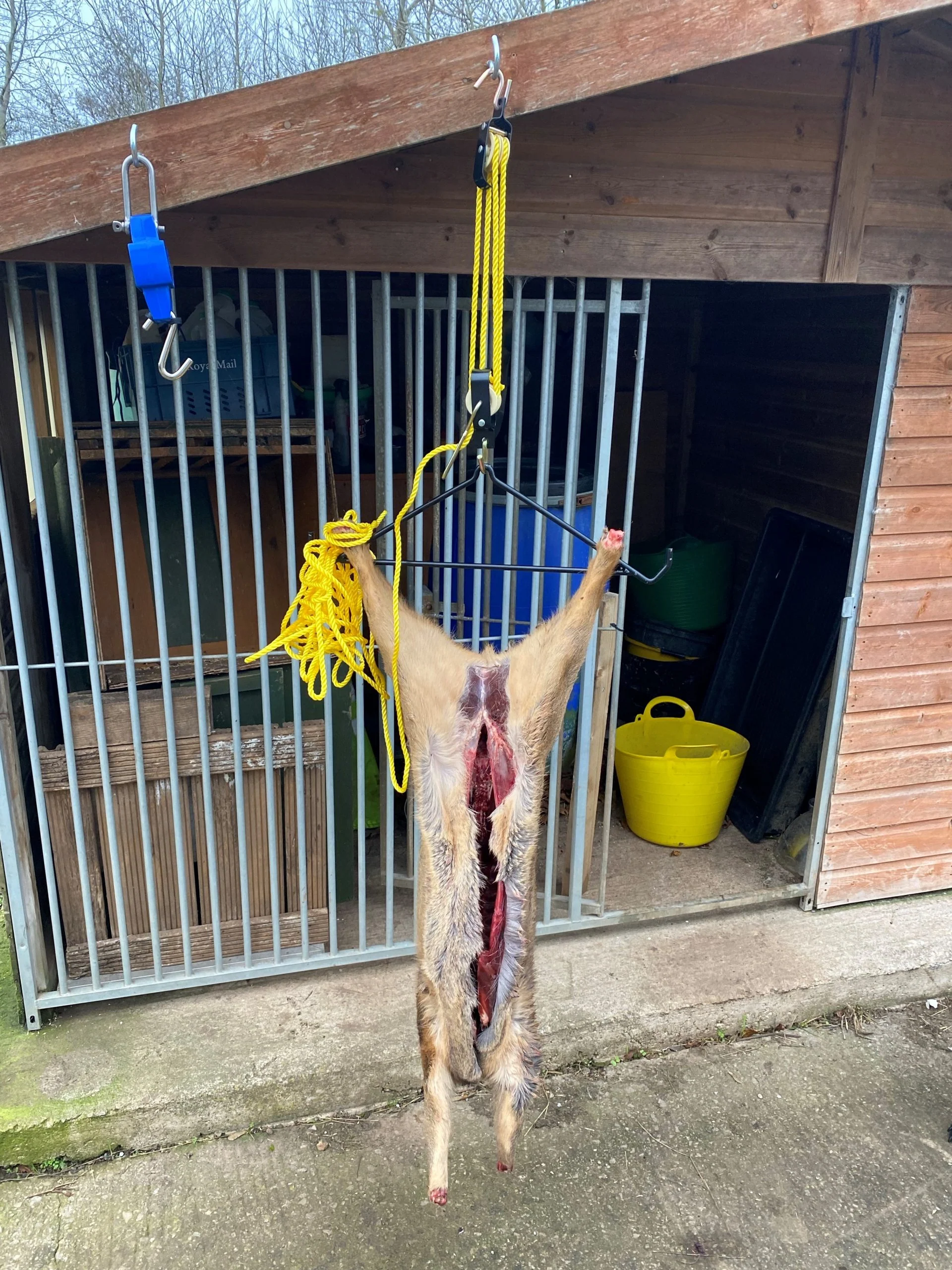 A1 DECOY DEER & BOAR HOOK GIMBLE - Image 4