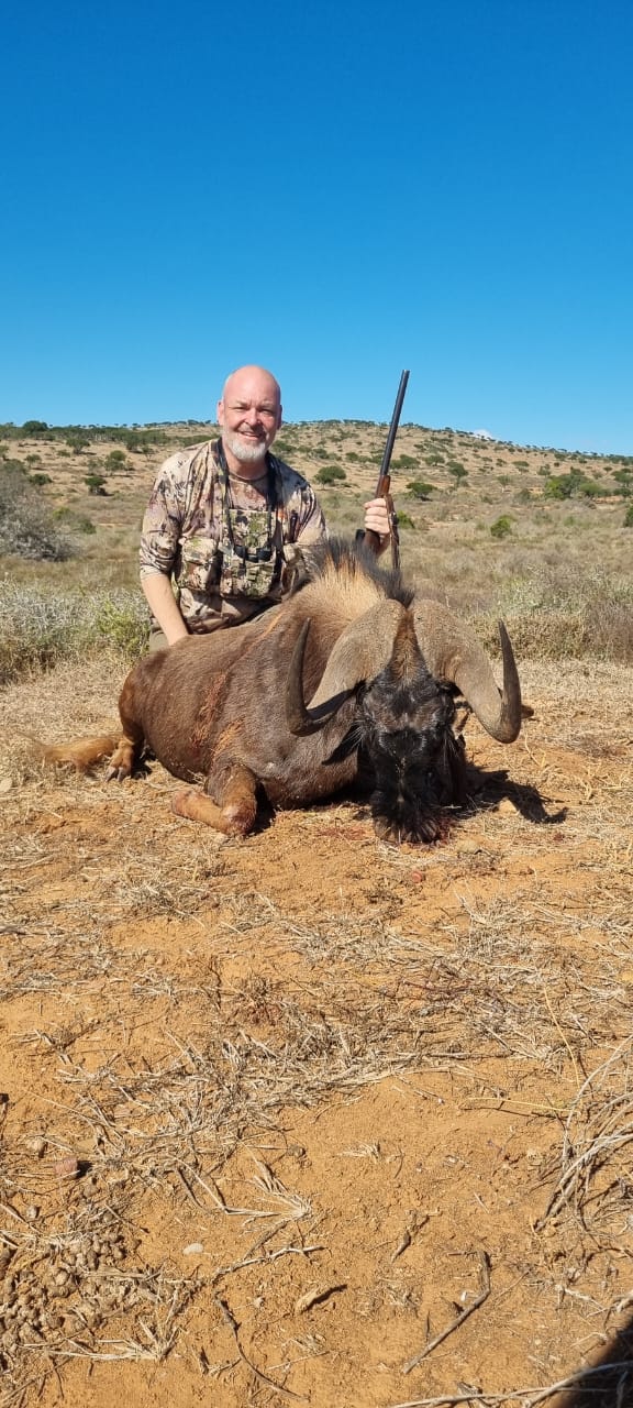 Africa Cull Hunt South Africa Port Elizabeth - Image 13