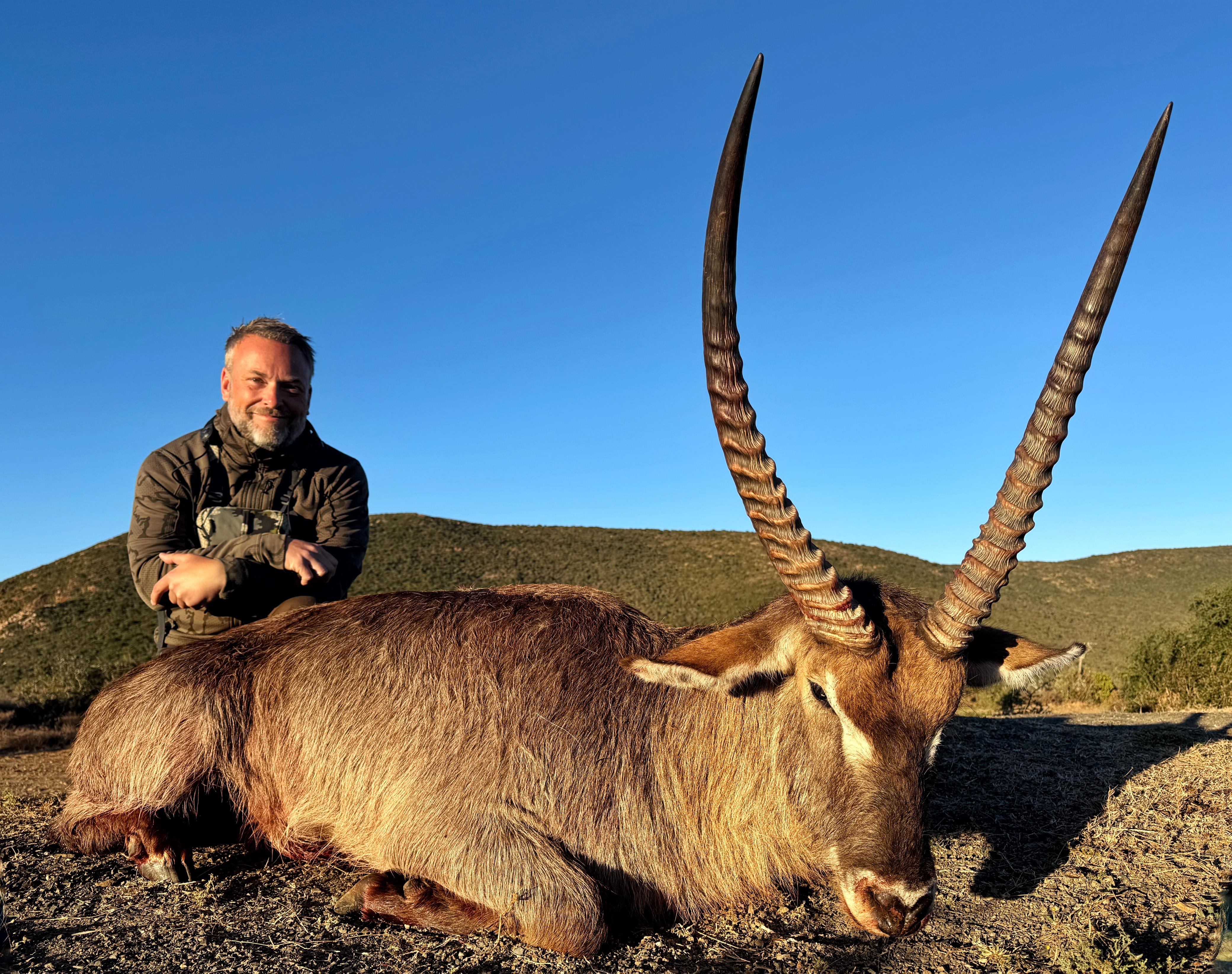 Africa Cull Hunt South Africa Port Elizabeth - Image 28