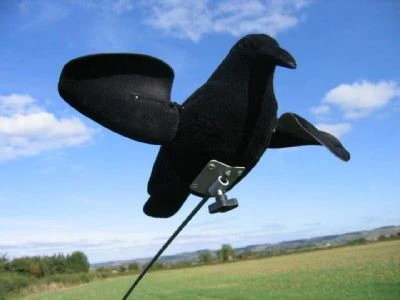 Air Pro Crow Decoy with Spinning Wings – Flocked Motion Decoys for Magnets & Bouncers - Image 2