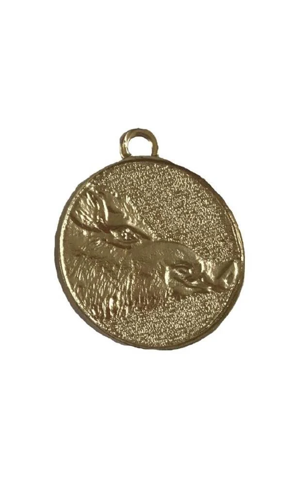 ALL BOAR TROPHY MEDALS - BRONZE, SILVER AND GOLD TROPHY MEDALS - Image 6