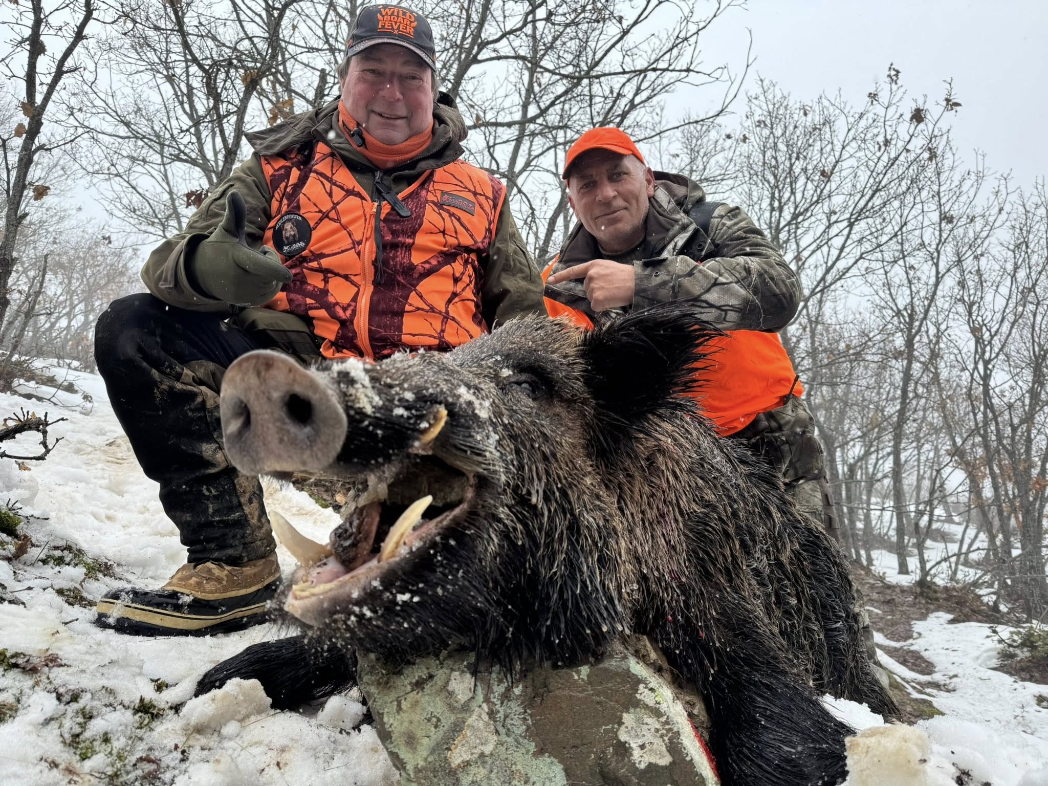 Driven Wild Boar Hunting in Turkey / Turkiye February 5th-10th 2027 5/6 Days Shooting Turkish Record - Image 14