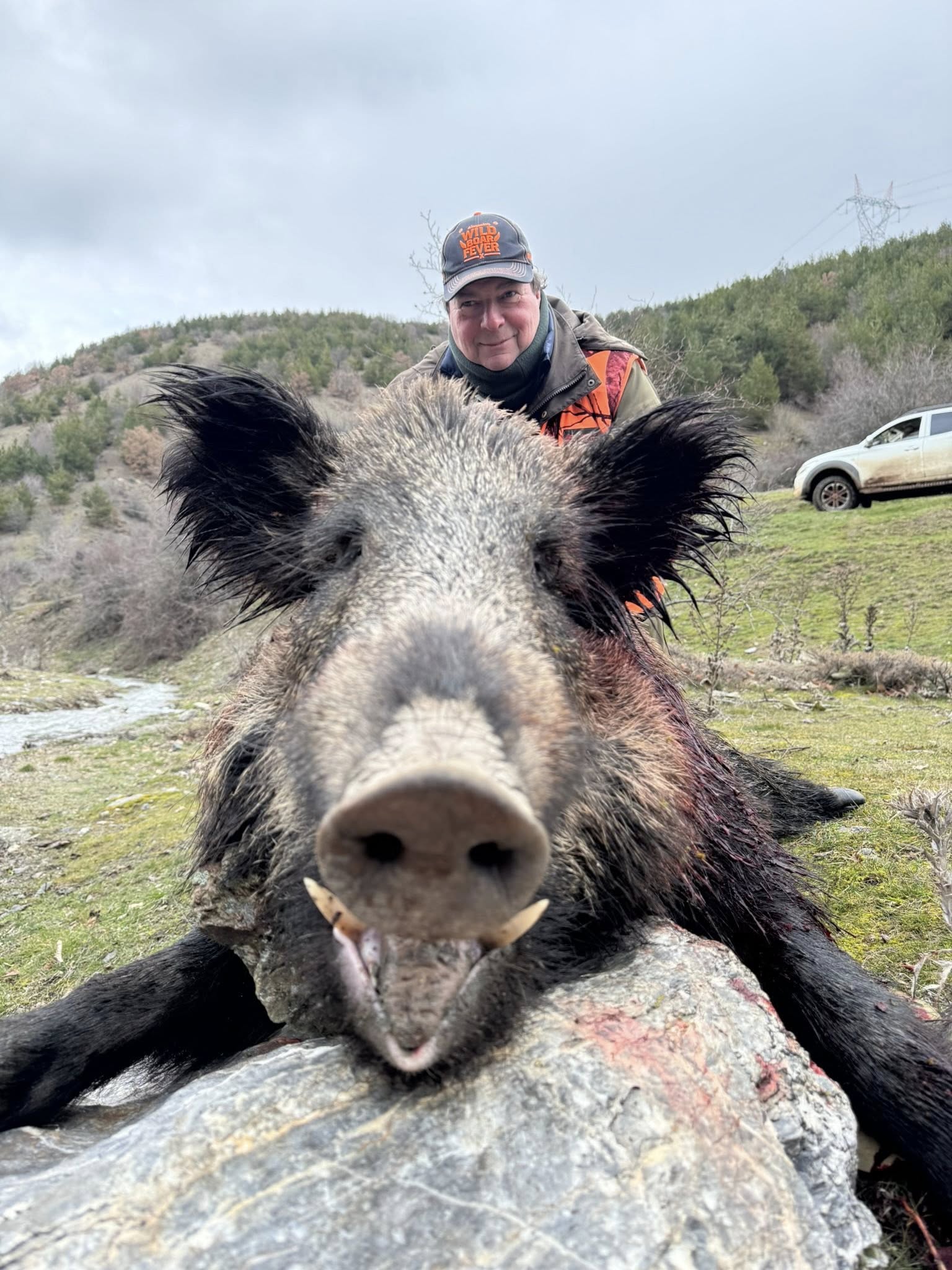 Driven Wild Boar Hunting in Turkey / Turkiye February 5th-10th 2027 5/6 Days Shooting Turkish Record - Image 3
