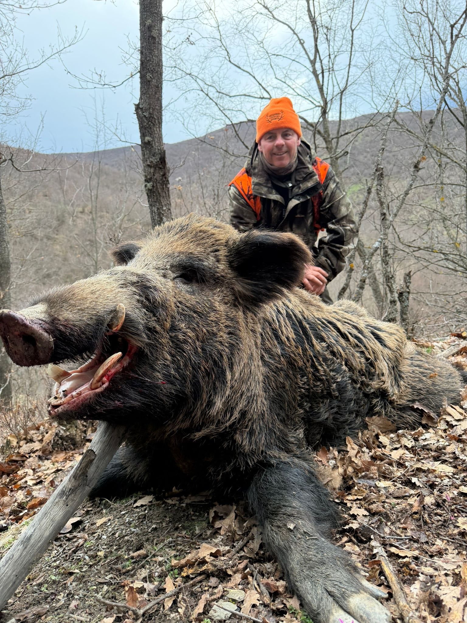Driven Wild Boar Hunting in Turkey / Turkiye February 5th-10th 2027 5/6 Days Shooting Turkish Record - Image 4