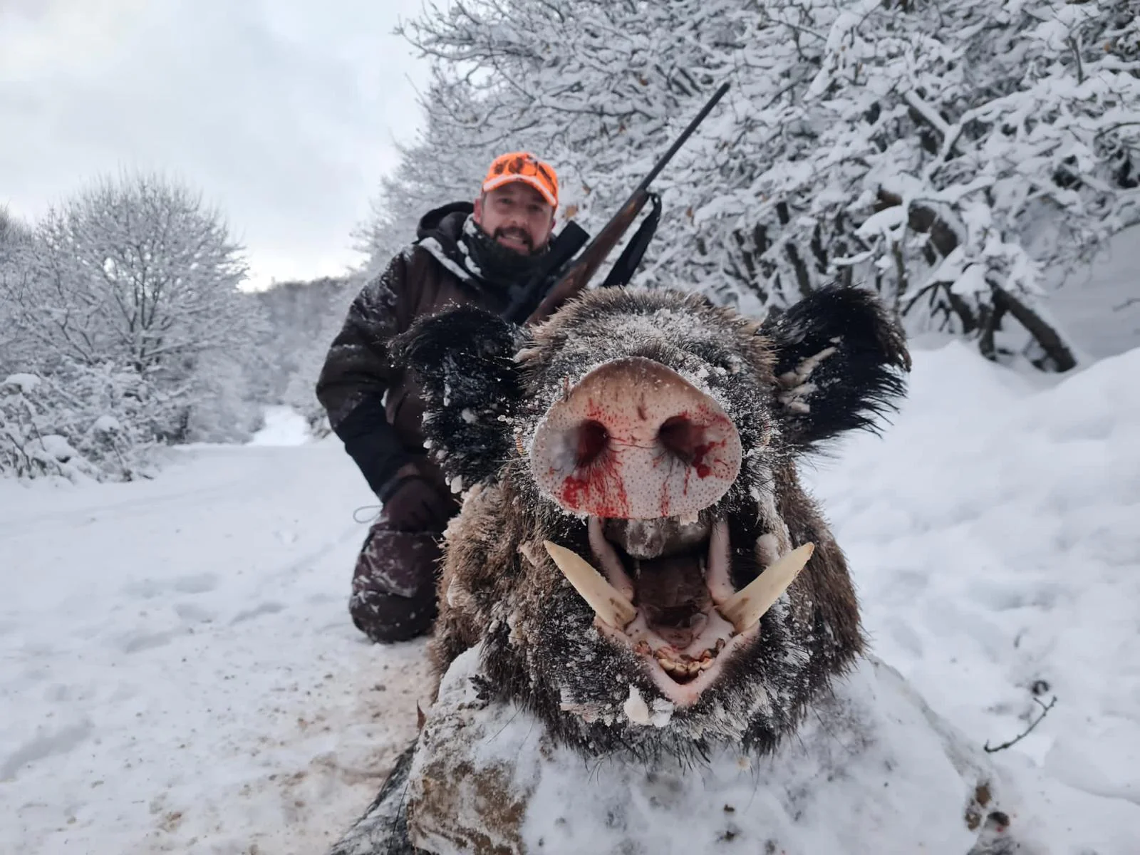 Driven Wild Boar Hunting in Turkey / Turkiye November 2026 NEW AREA THE HIDDEN VALLEY - Image 18