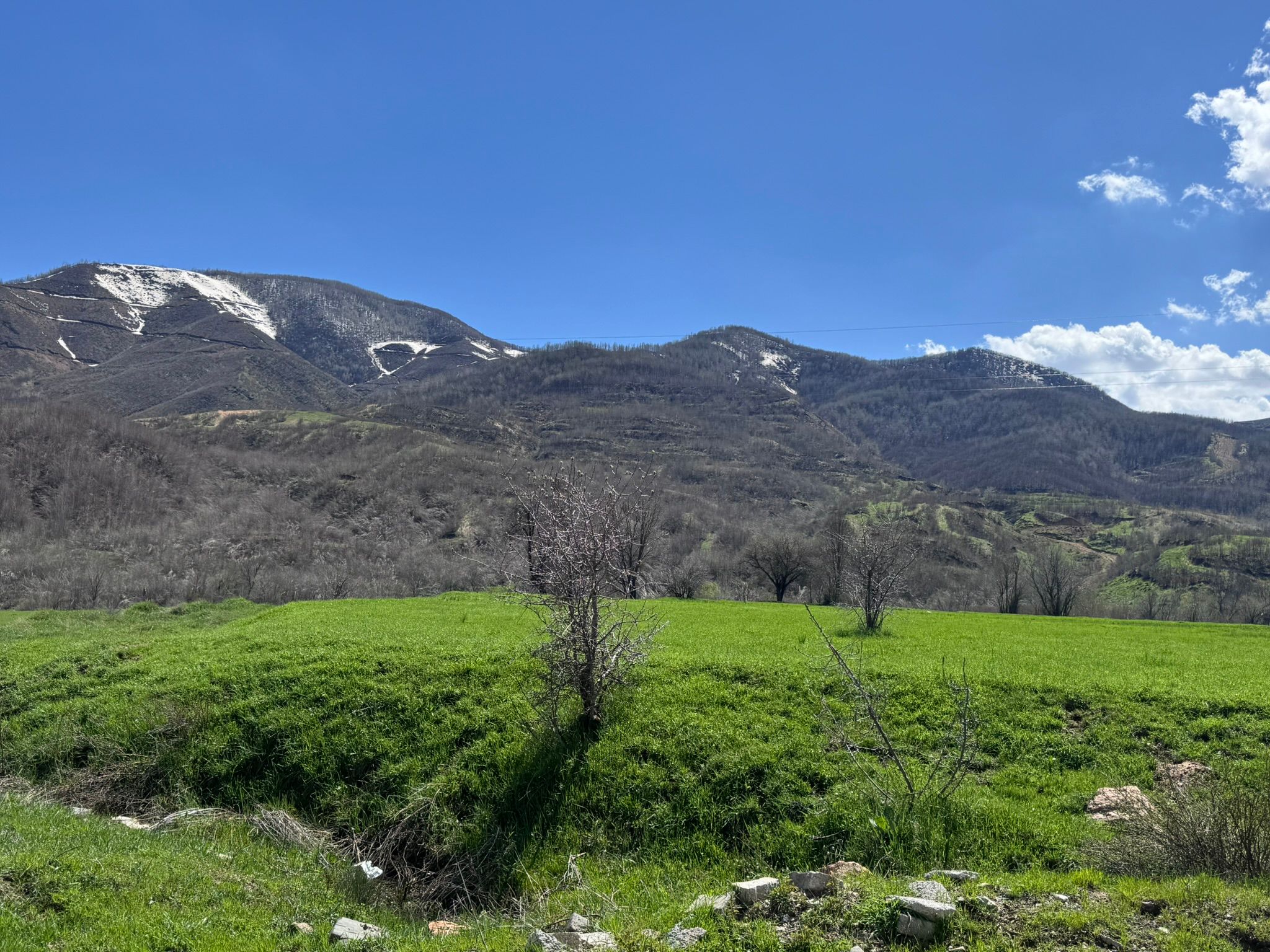 Driven Wild Boar Hunting in Turkey / Turkiye November 2026 NEW AREA THE HIDDEN VALLEY - Image 5