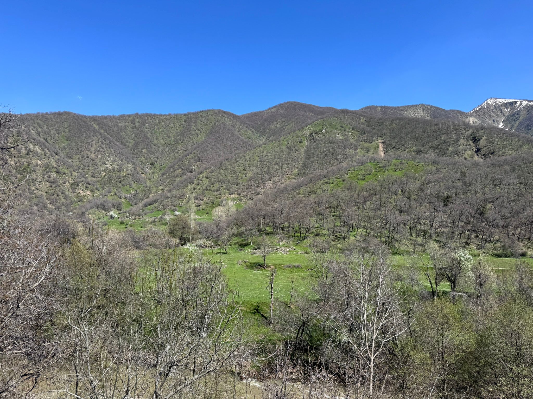 Driven Wild Boar Hunting in Turkey / Turkiye November 2026 NEW AREA THE HIDDEN VALLEY - Image 6