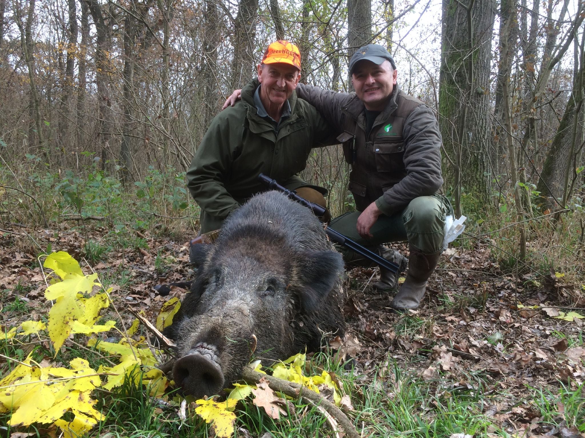 DRIVEN WILD BOAR SERBIA TRIPS Available 2026 Season - Image 6