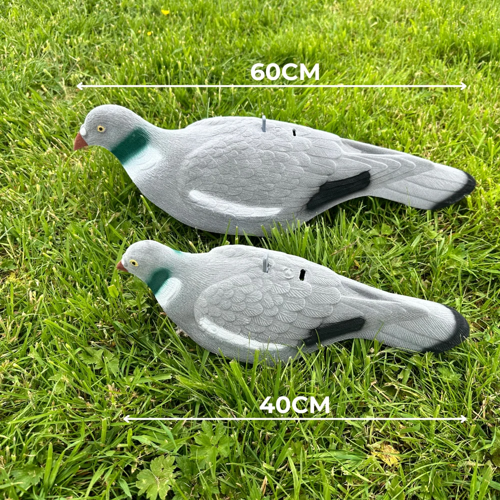 Extra Large Magnum Flocked Pigeon Decoy Shell - Image 3