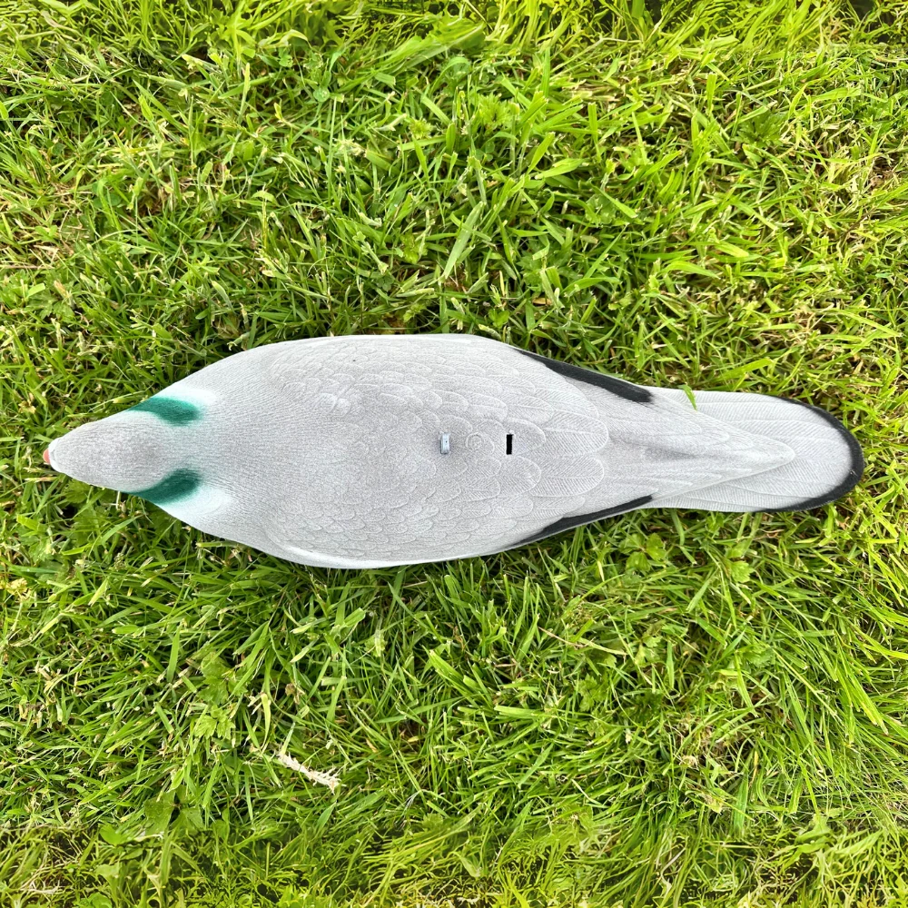Extra Large Magnum Flocked Pigeon Decoy Shell - Image 7