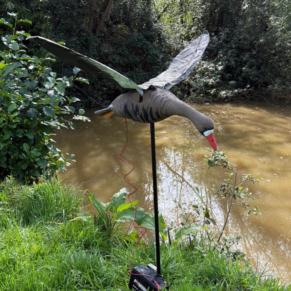 Flapping Greylag Goose Decoy - Image 12