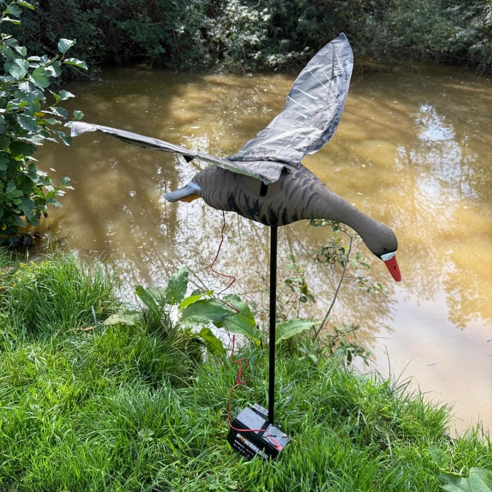Flapping Greylag Goose Decoy - Image 13