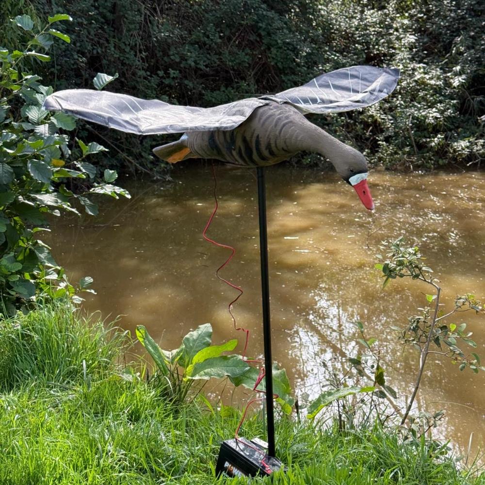 Flapping Greylag Goose Decoy - Image 15
