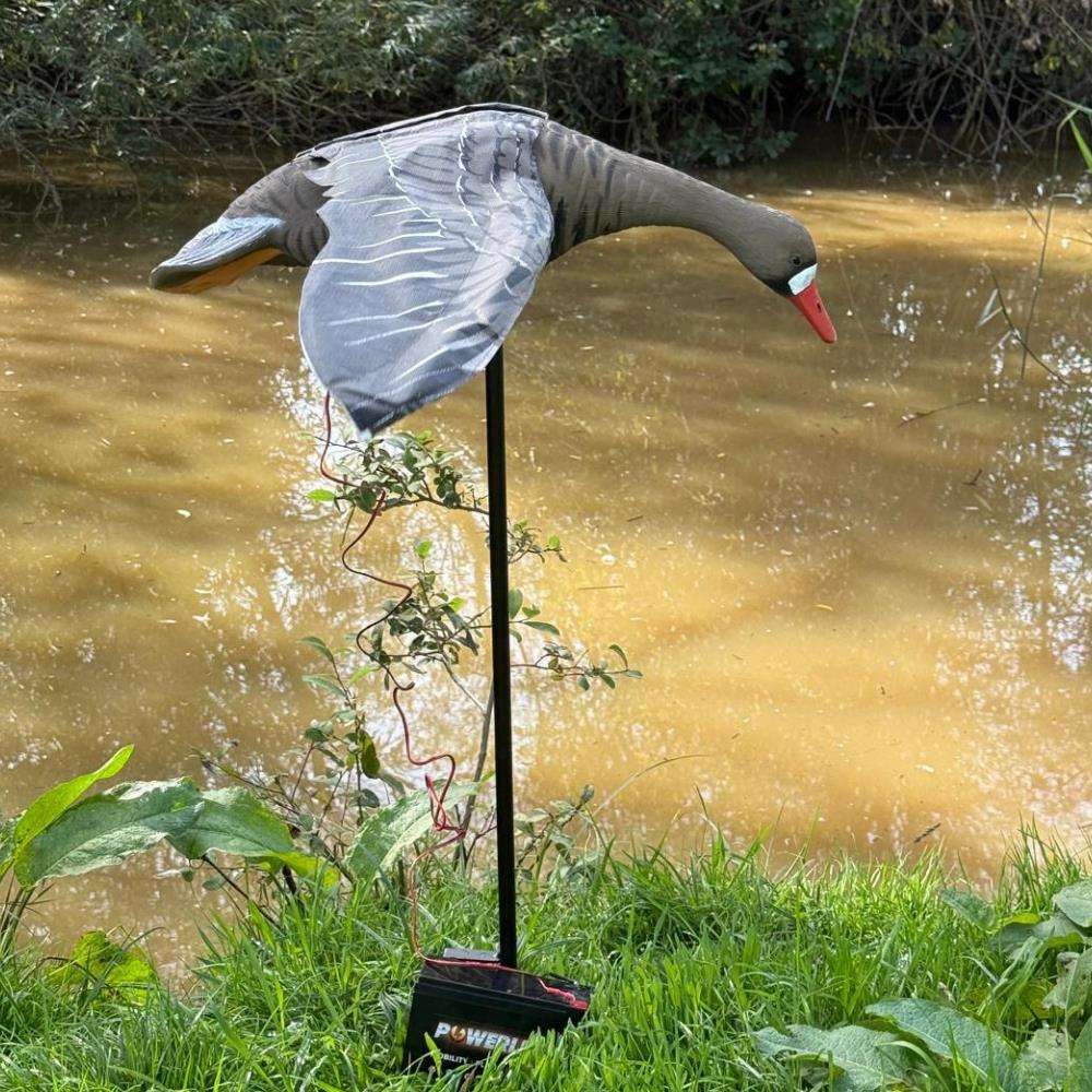 Flapping Greylag Goose Decoy - Image 6