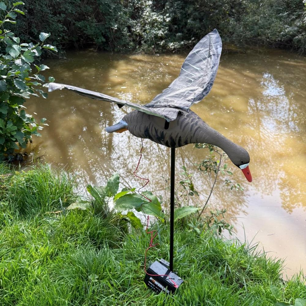 Flapping Greylag Goose Decoy - Image 7
