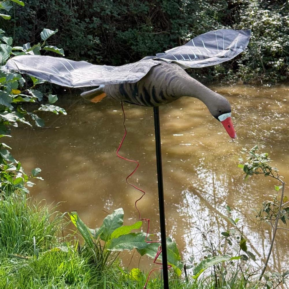 Flapping Greylag Goose Decoy - Image 8