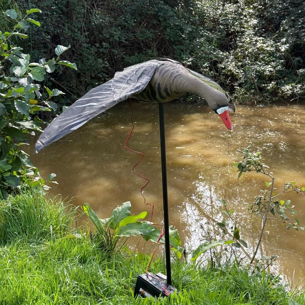 Flapping Greylag Goose Decoy - Image 9