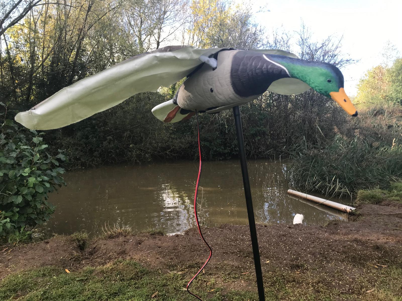 Flapping Mallard Duck Decoy - Image 6
