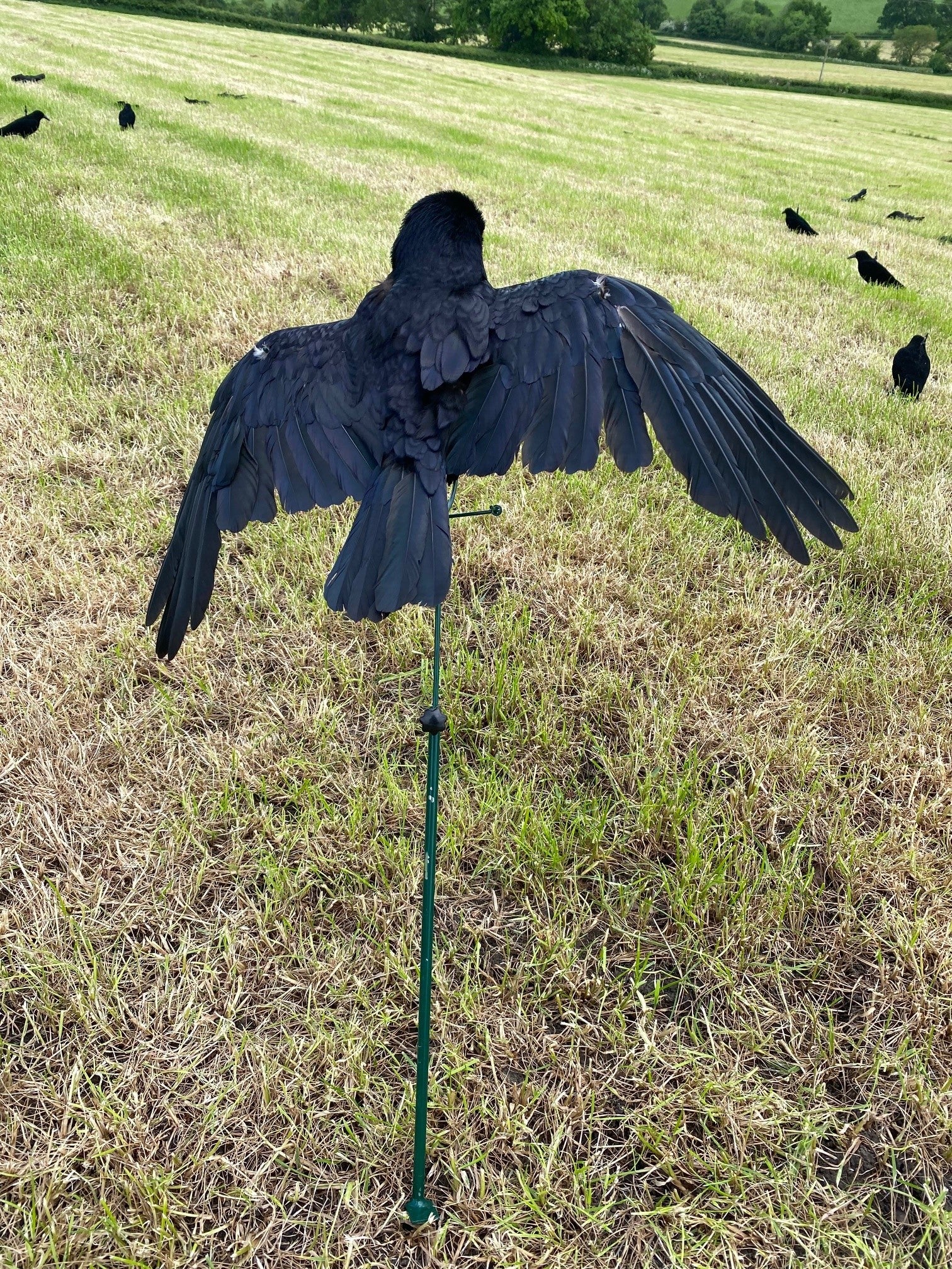 Floater Lander Glider Decoy Pole - Image 10