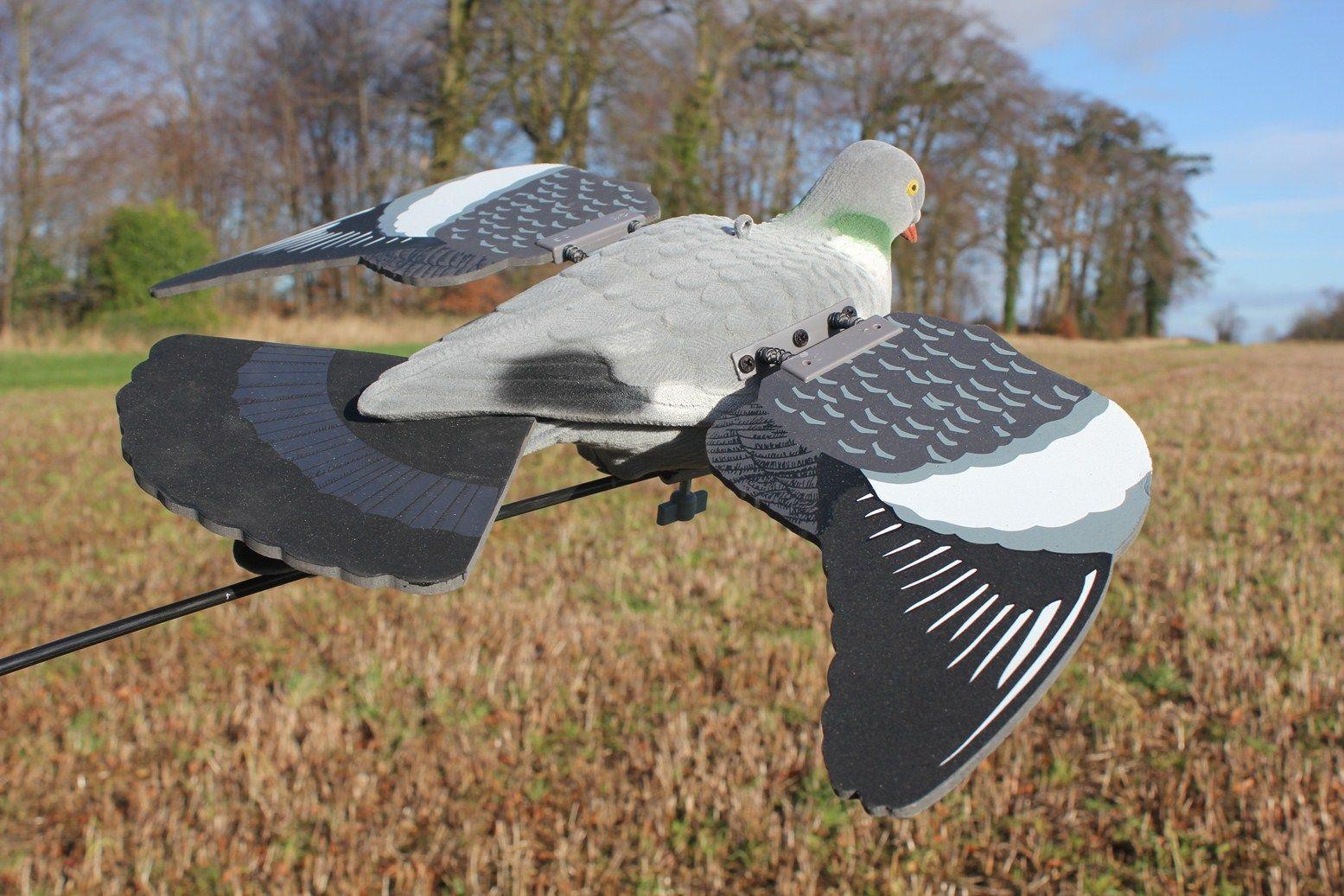 Floating Pigeon with Spring Wings - Image 2