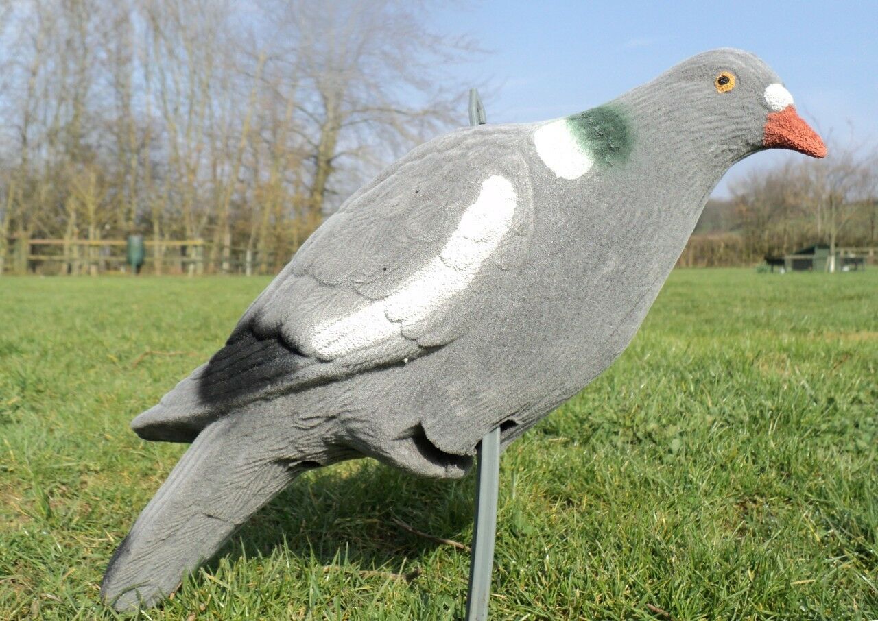Flocked Full Body Pigeon Decoys Multi Position - Image 3