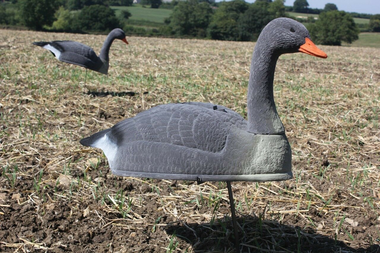 Flocked Greylag & Pinkfoot Goose Decoy Shell – Life-Size & Stackable - Image 8