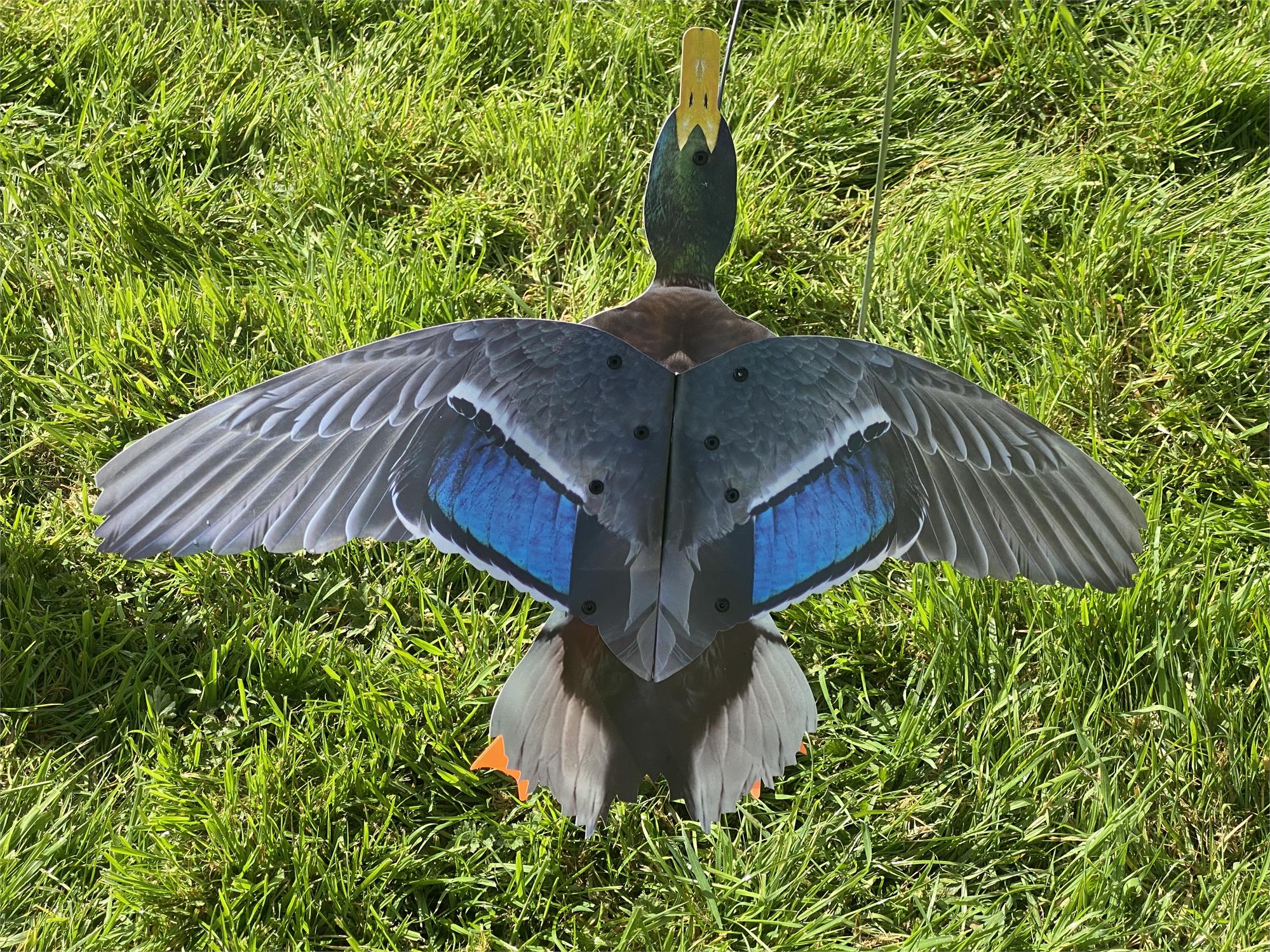 Flying Mallard Decoy Pair – Drake and Duck Motion Deceivers with Spring Wire and Ground Spike - Image 3