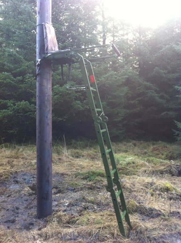 Folding High Seat - Image 7