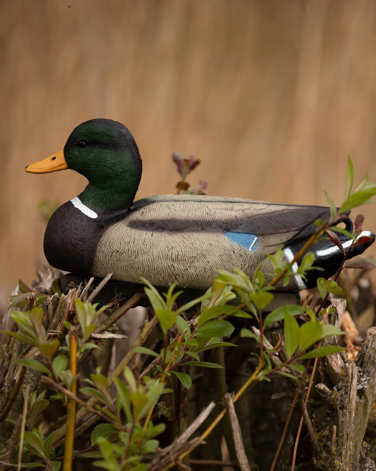 HD Full Body Mallard Decoys – Lifesize Floating Mallard Duck Decoy - Image 10