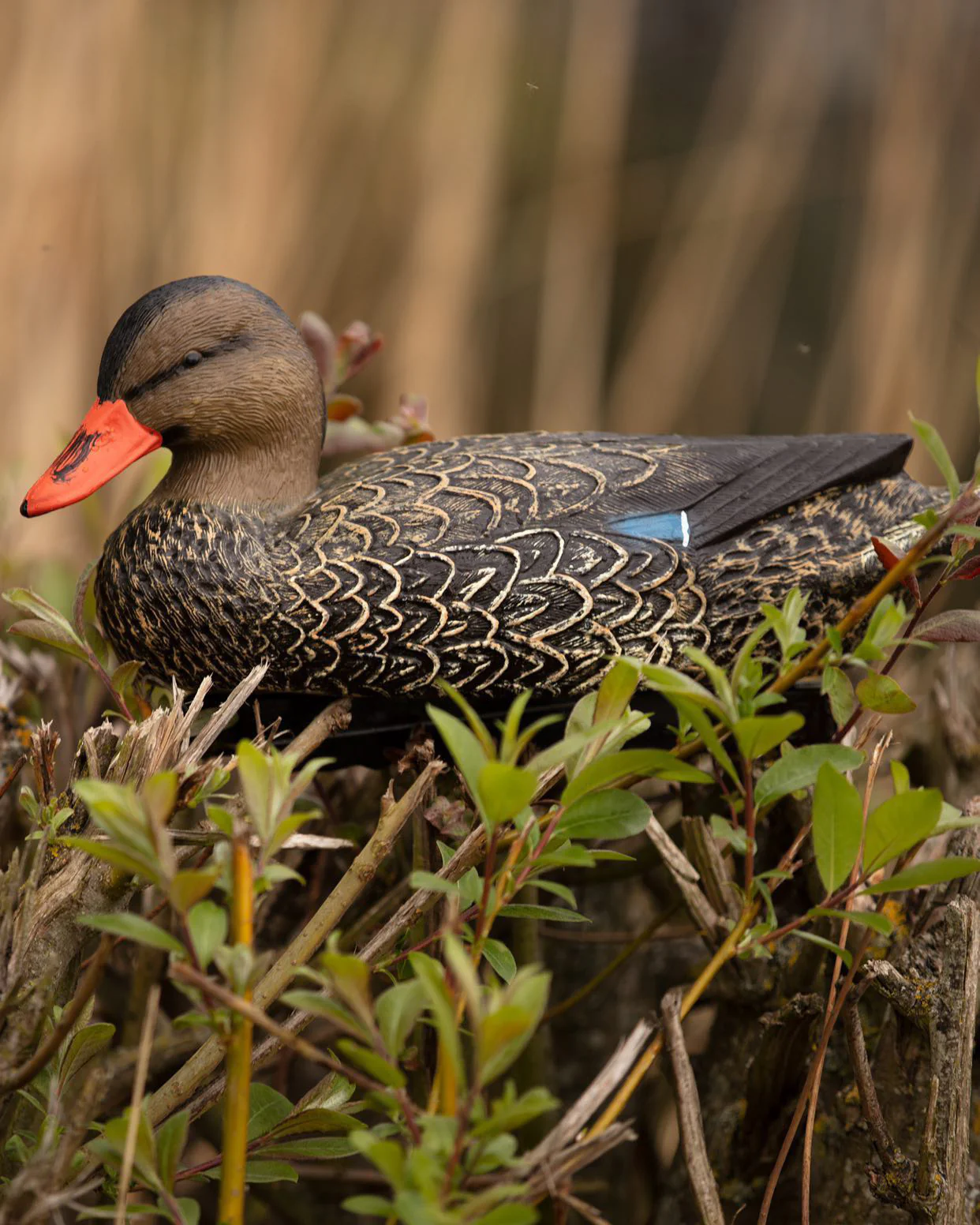 HD Full Body Mallard Decoys – Lifesize Floating Mallard Duck Decoy - Image 12