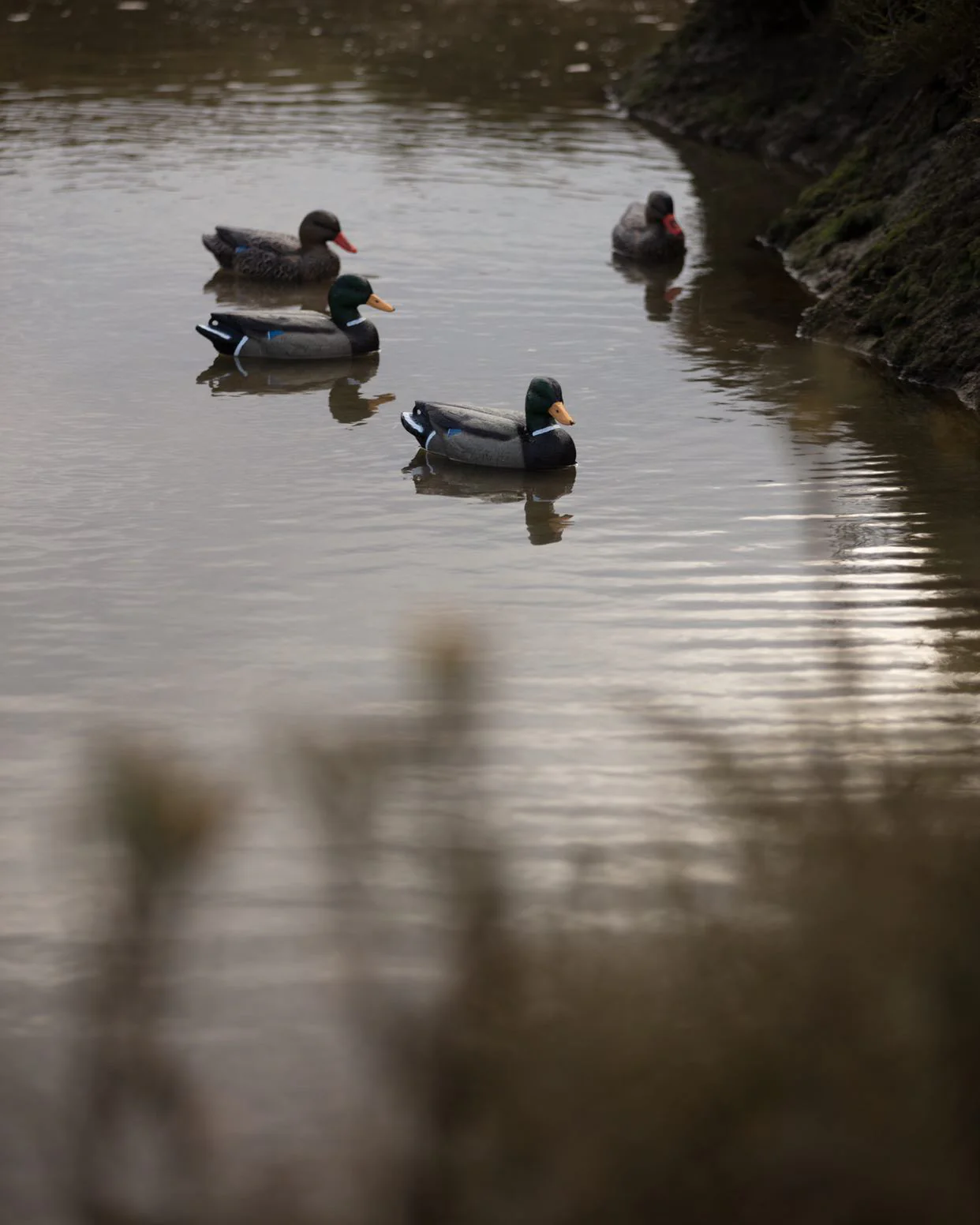 HD Full Body Mallard Decoys – Lifesize Floating Mallard Duck Decoy - Image 6