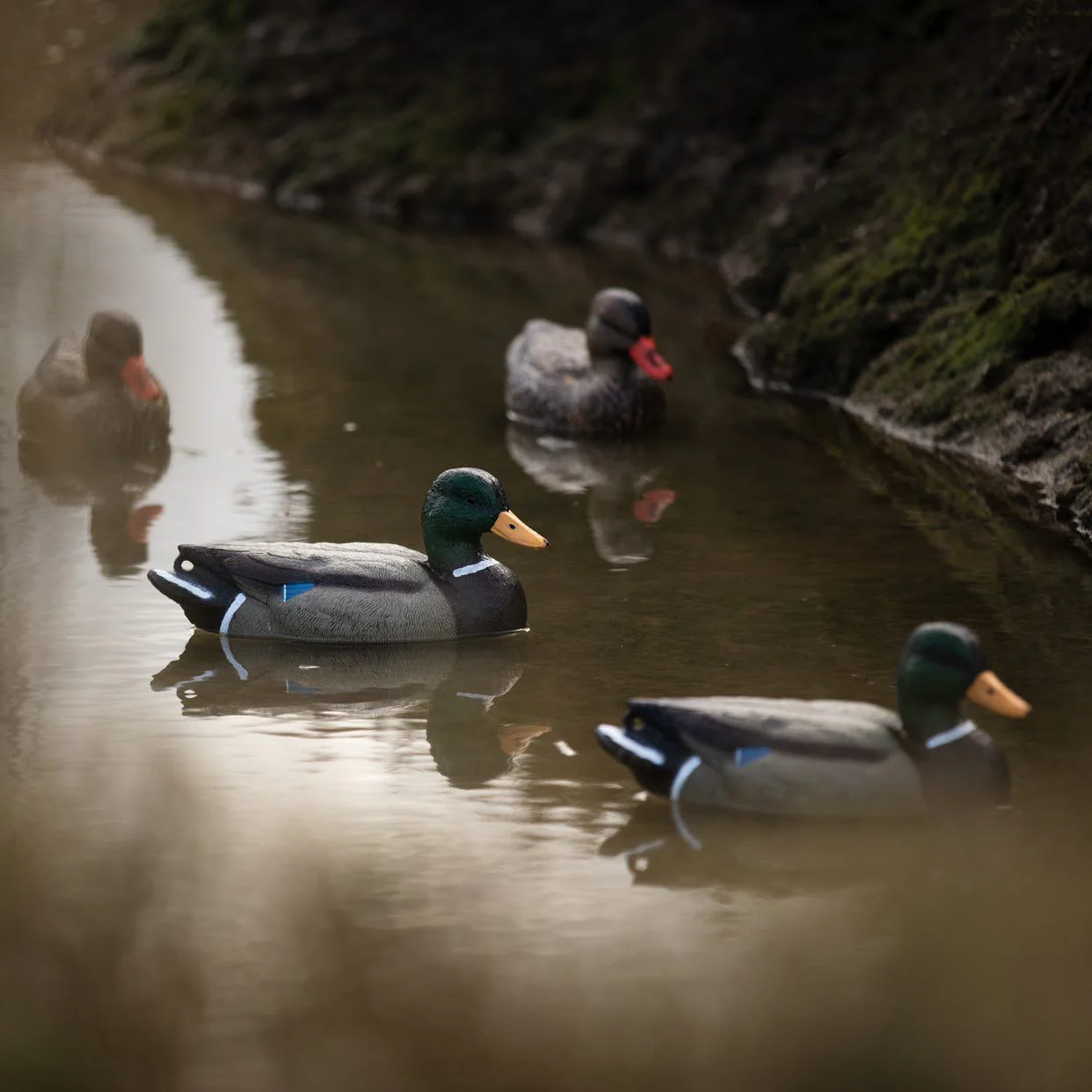 HD Full Body Mallard Decoys – Lifesize Floating Mallard Duck Decoy - Image 7