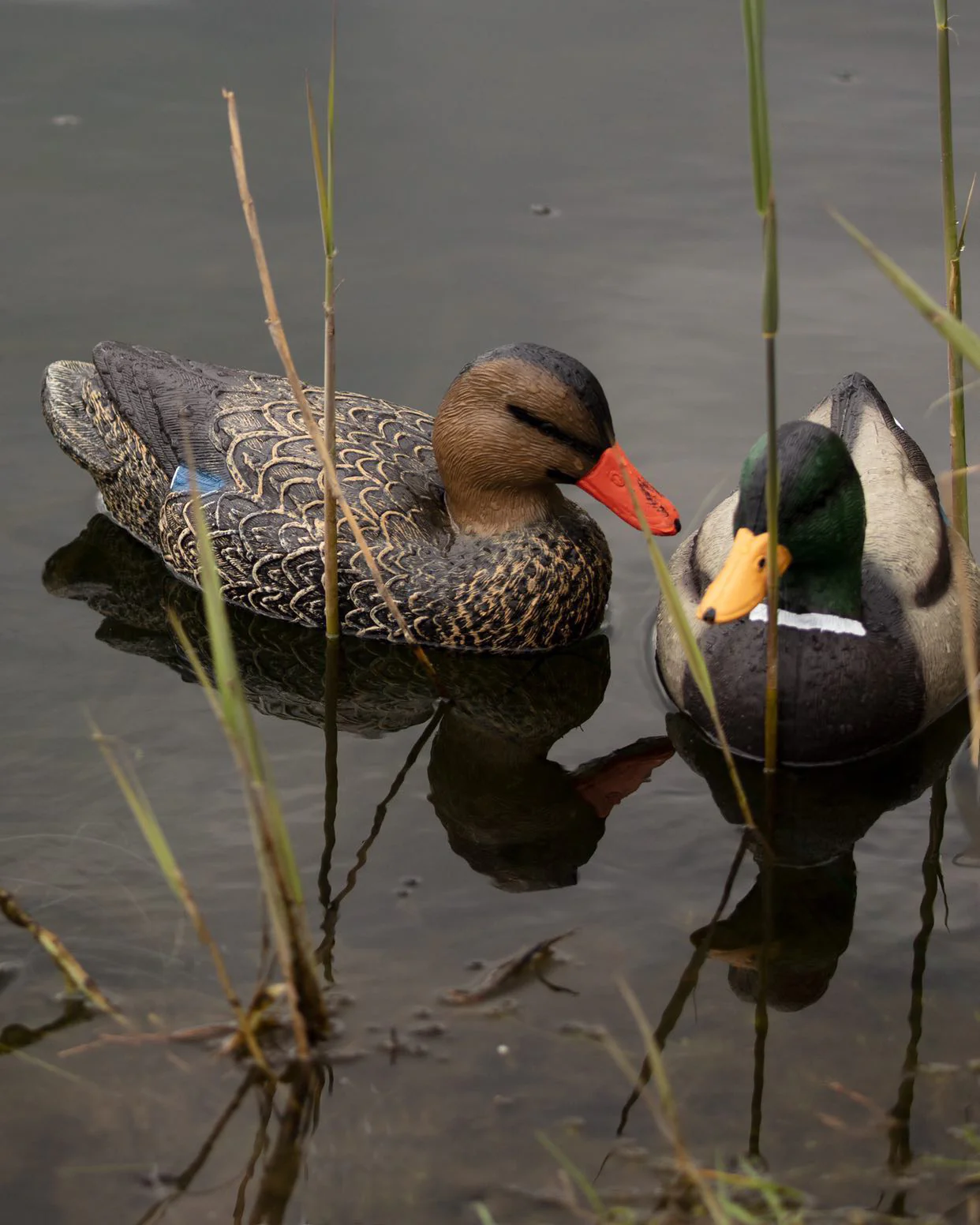 HD Full Body Mallard Decoys – Lifesize Floating Mallard Duck Decoy - Image 8