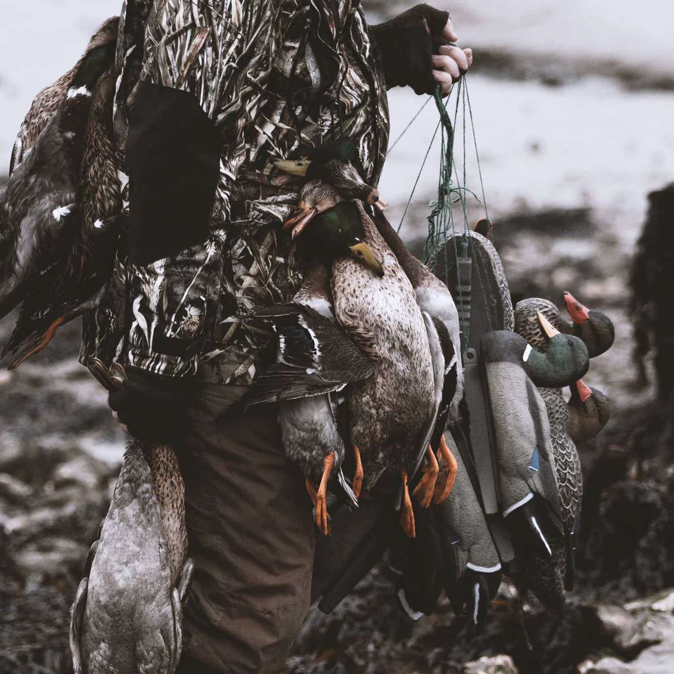 HD Full Body Mallard Decoys – Lifesize Floating Mallard Duck Decoy - Image 9
