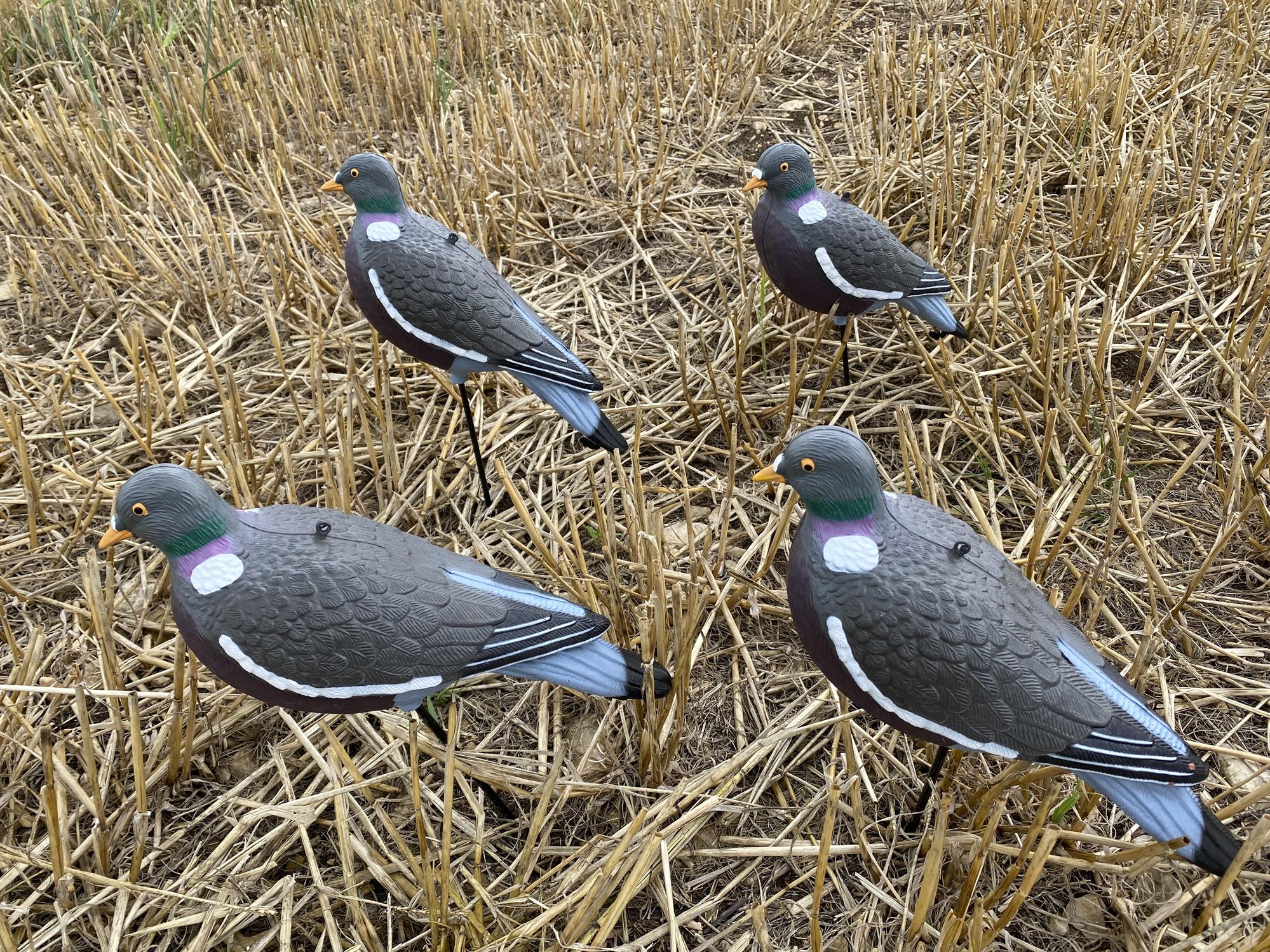 HD PIGEON DECOY KIT - Image 3