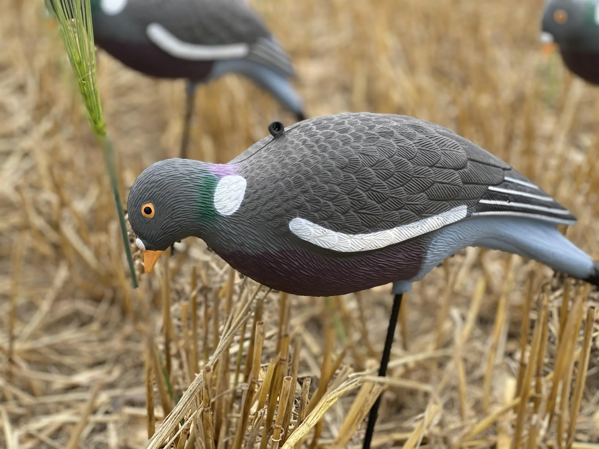 HD PIGEON DECOY KIT - Image 4