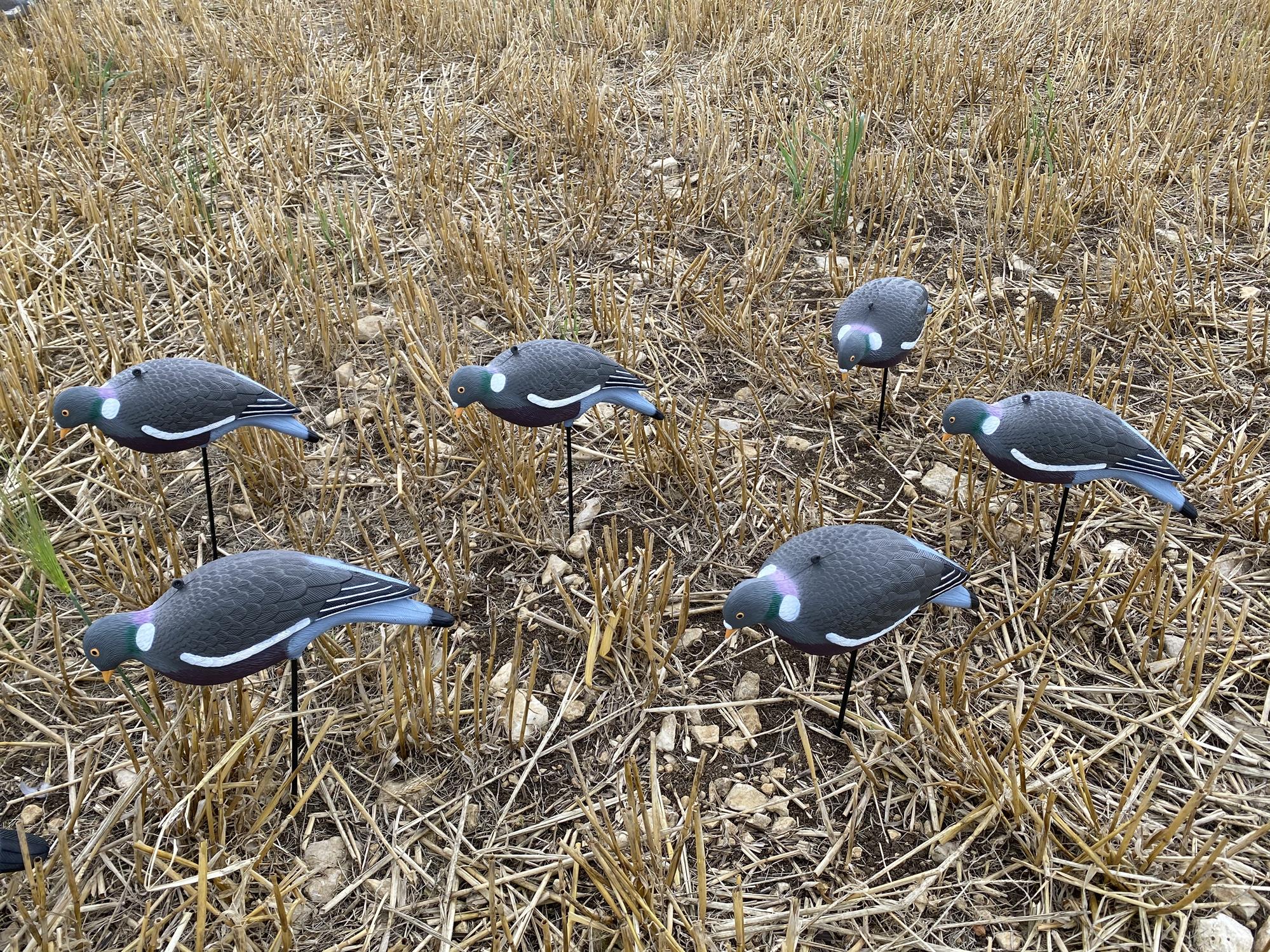 HD PIGEON DECOY KIT - Image 6