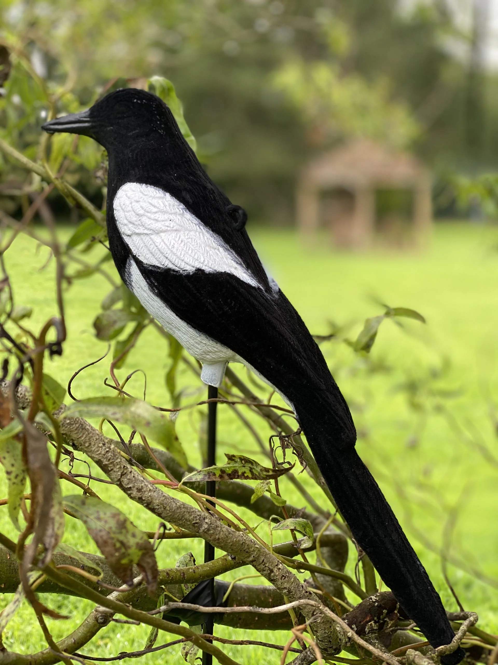 High Definition Flocked Magpie Full Bodied Decoy - Image 3