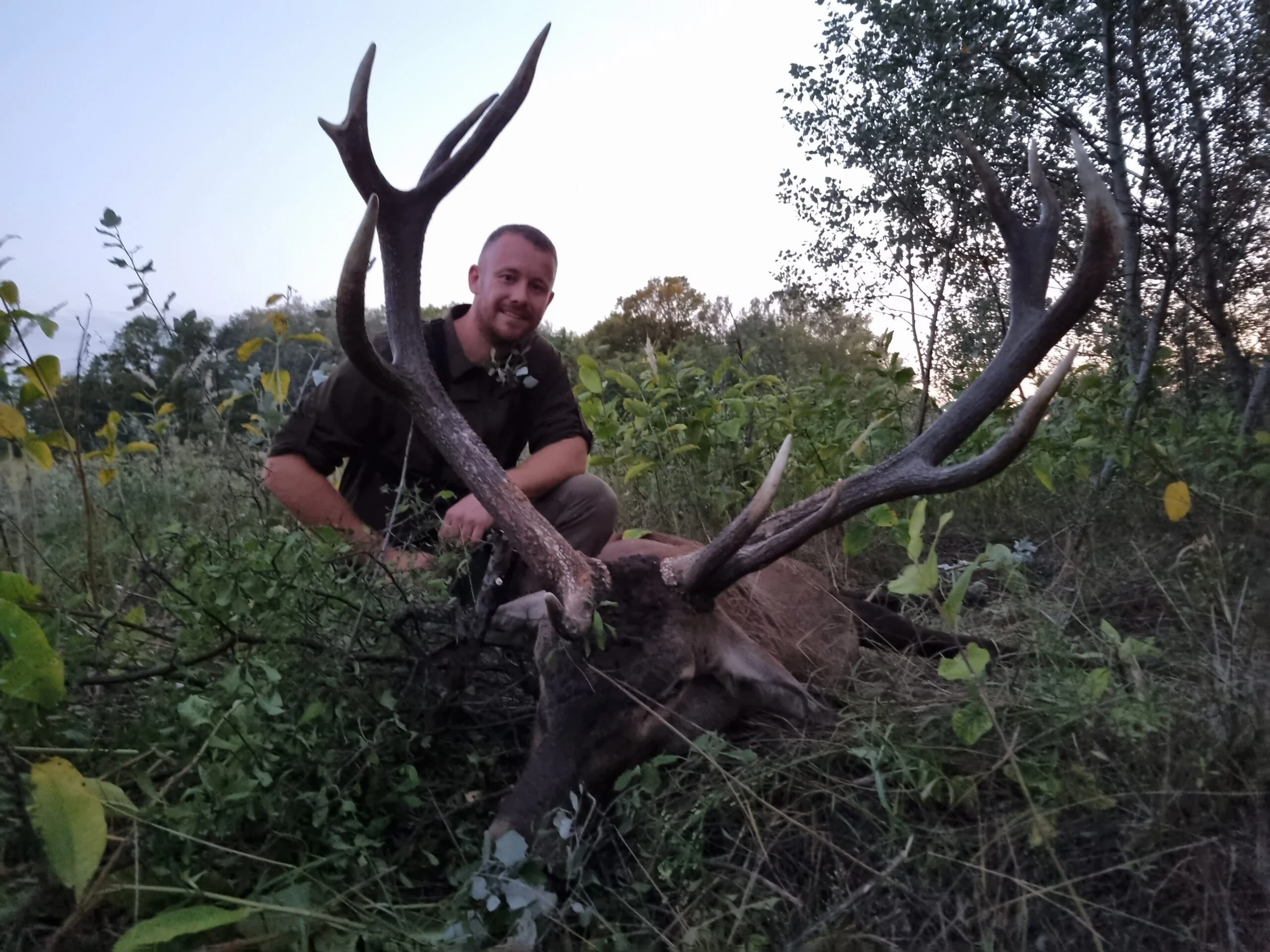 HUNGARY HUNTING TRIP RED STAG SEPTEMBER/OCTOBER - Image 3