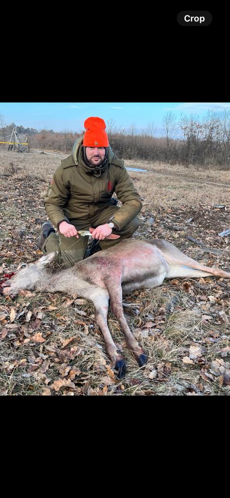 HUNGARY HUNTING TRIP RED STAG SEPTEMBER/OCTOBER - Image 4