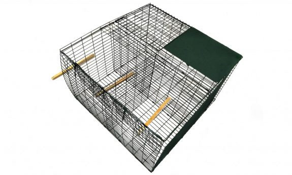 Larsen Magpie Trap with Free Flocked Magpie Decoy – Legal Crow Trap for Pest Control