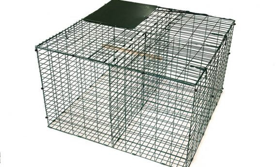 Larsen Magpie Trap with Free Flocked Magpie Decoy – Legal Crow Trap for Pest Control - Image 2