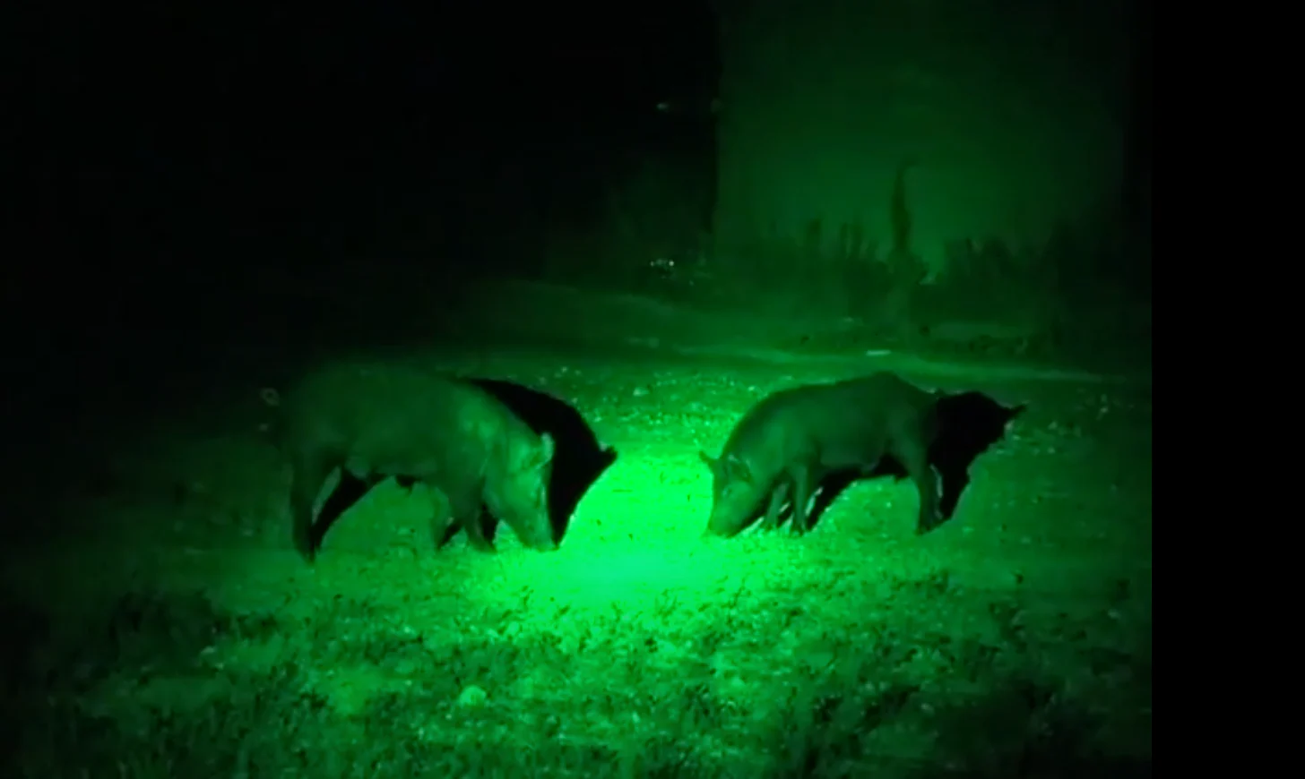 LED GREEN HANDHELD AND SCOPE MOUNTED LAMP - Image 15