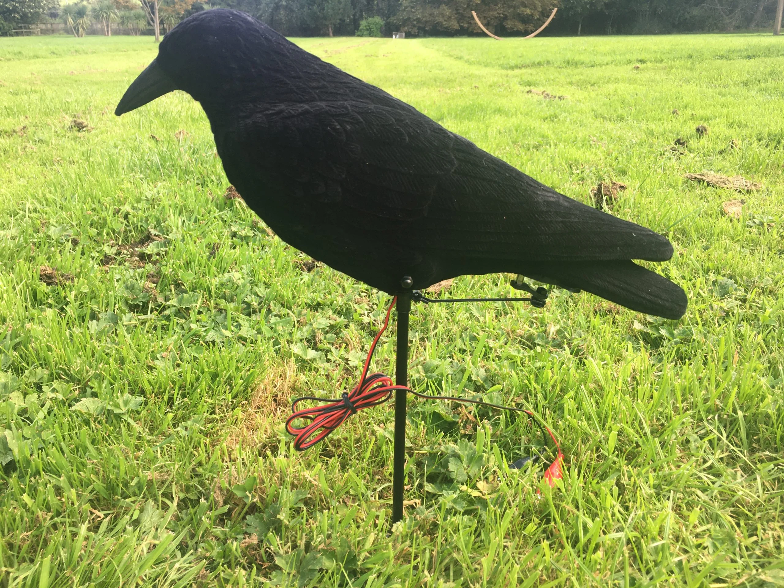 Motorised Pecking Crow Decoy - Image 2