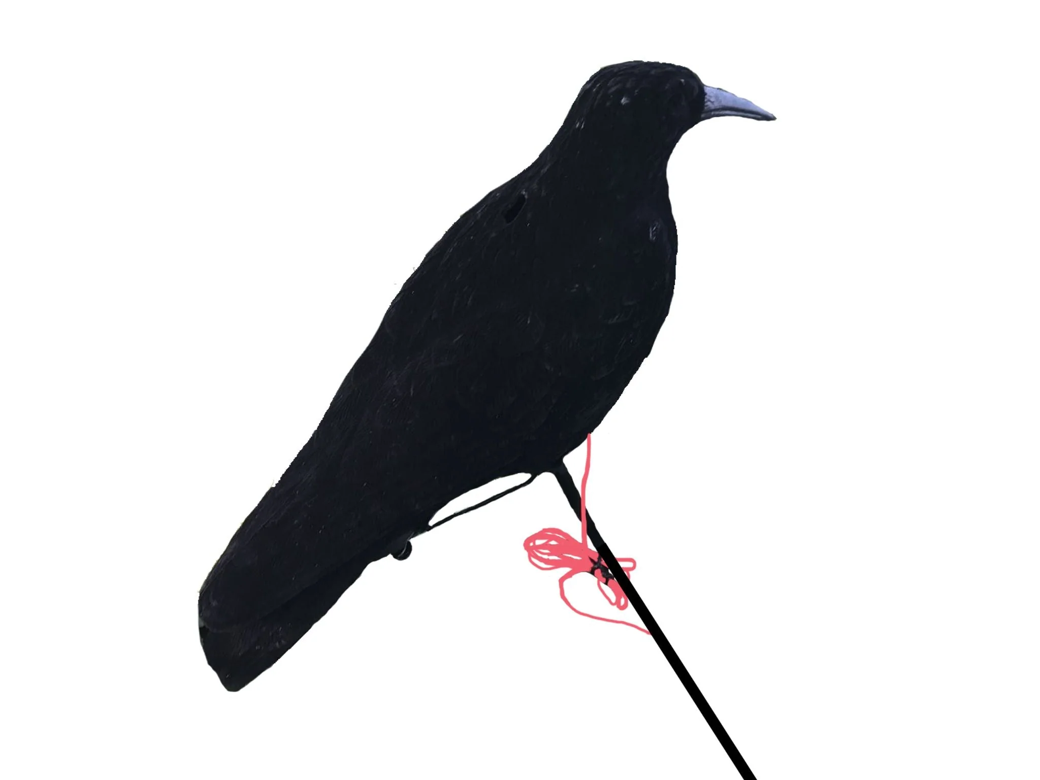 Motorised Pecking Crow Decoy - Image 4