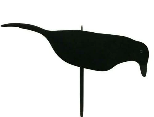 Neoprene Crow Decoys – Lightweight, Realistic & with Rocker Peg - Image 3
