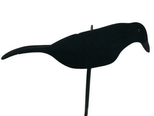 Neoprene Crow Decoys – Lightweight, Realistic & with Rocker Peg - Image 5