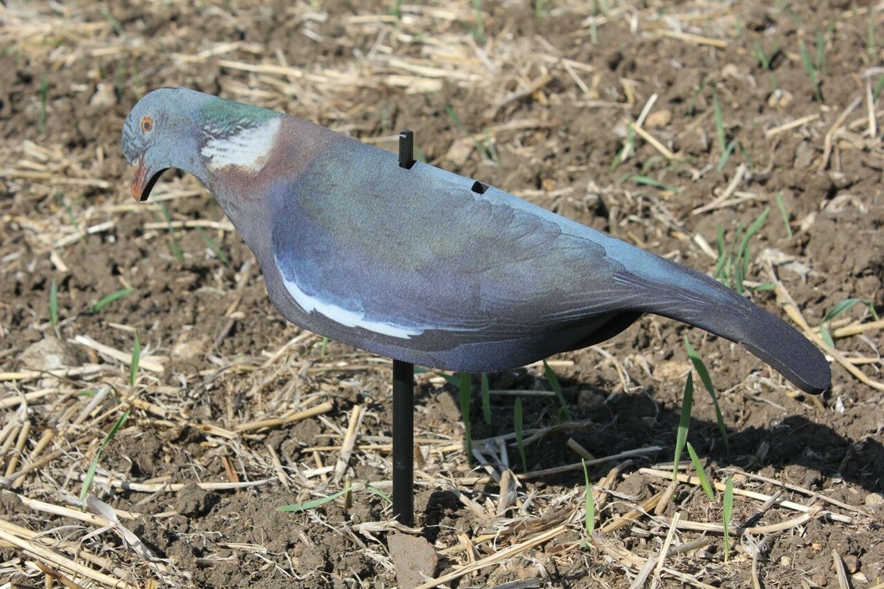 Neoprene Pigeon Shell Decoy - Image 5