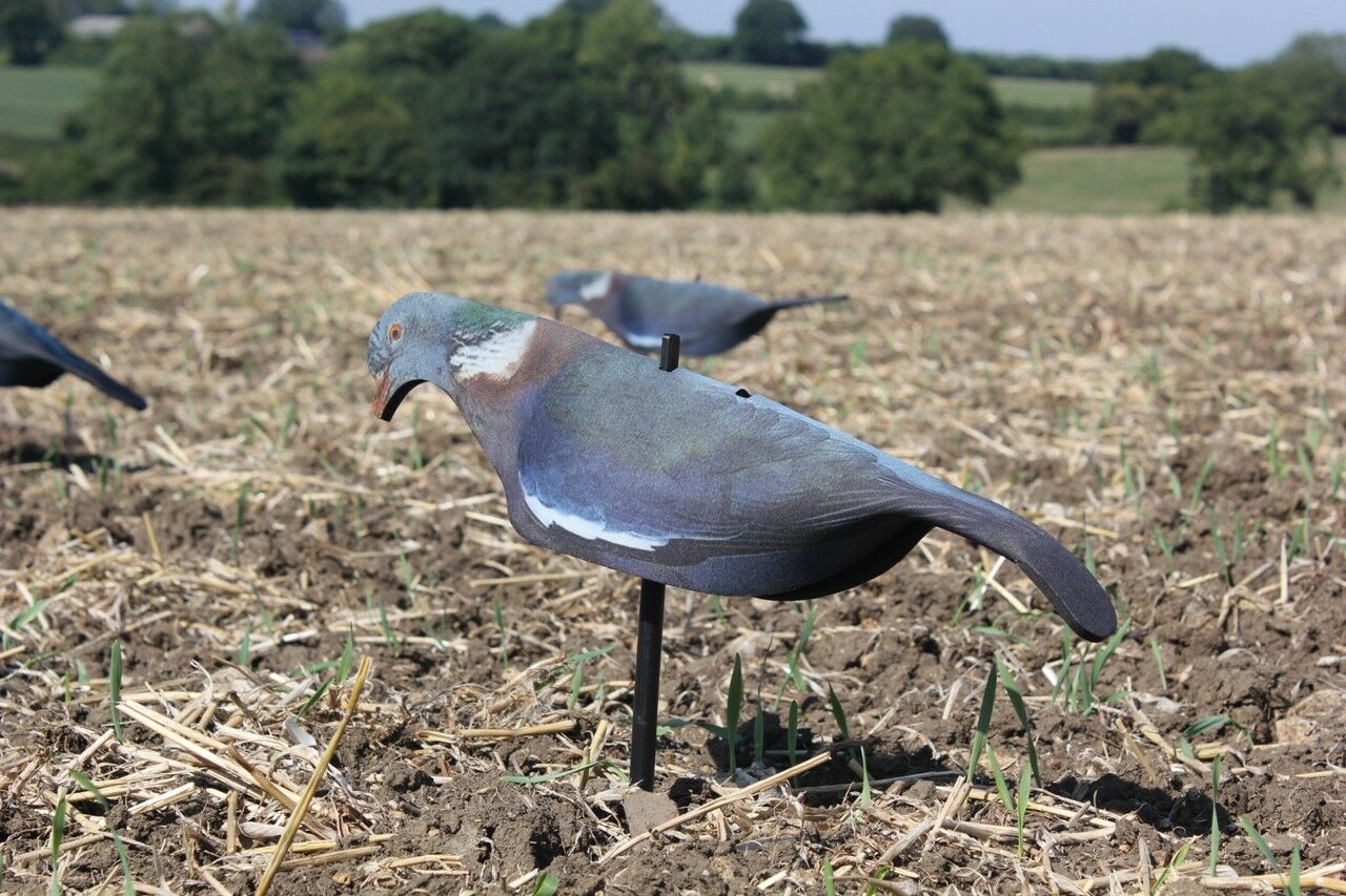 Neoprene Pigeon Shell Decoy - Image 6