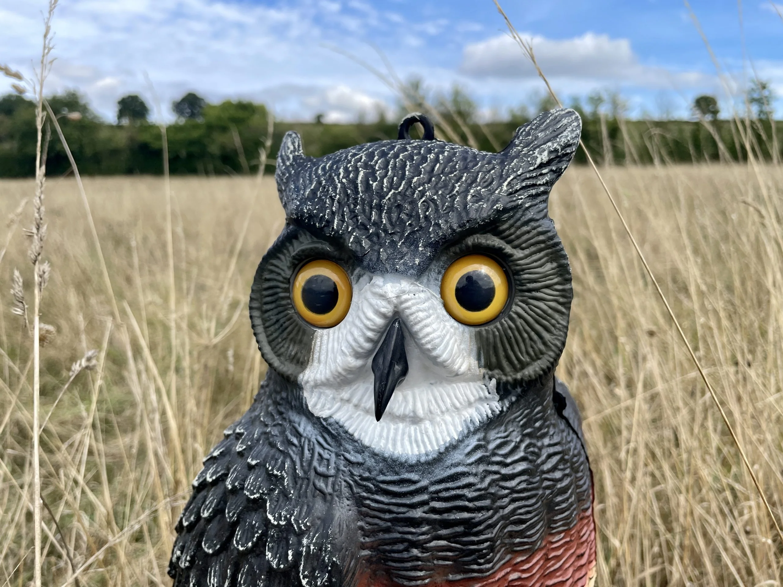 Owl Decoy Bird Scarer – Large Full Body Pigeon & Crow Deterrent - Image 3